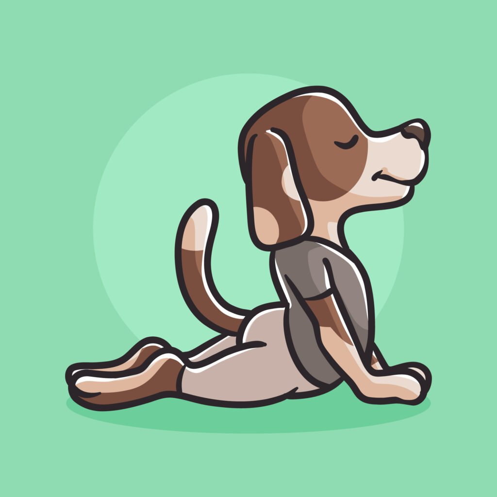 WoofWorkout