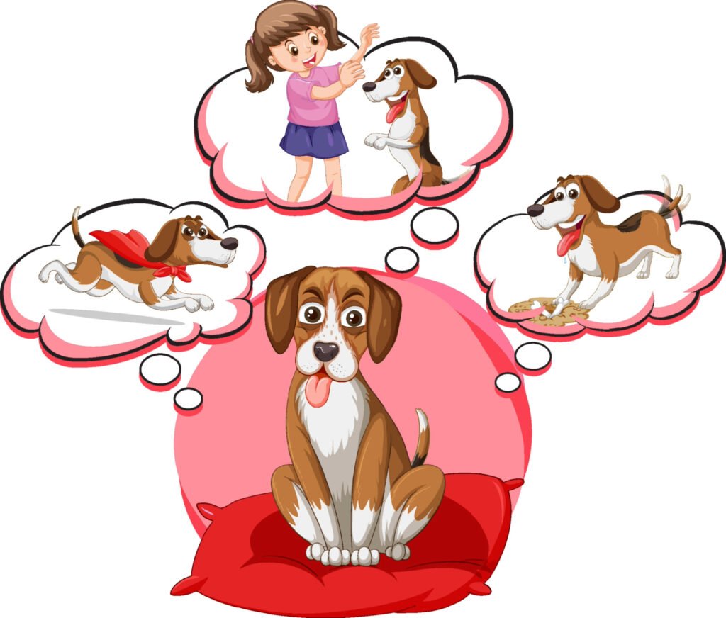 Body & Brain Workshop voor Honden