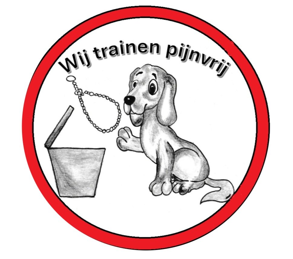 Logo pijnvrij