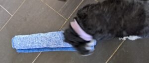 Snuffelen
