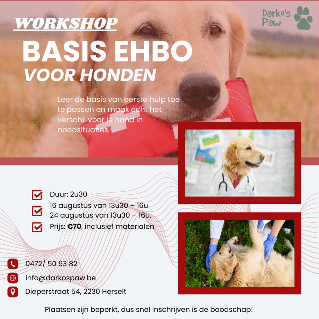 EHBO voor honden