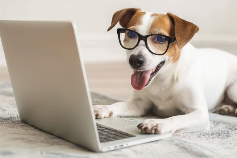 Webinar on demand