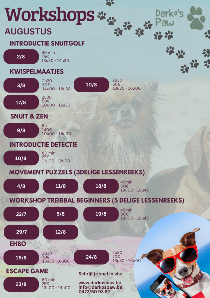 Workshops Augustus