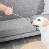 Trixie dog activity target stick aanwijsstok assorti – 14-65 cm