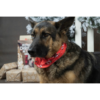 KERST BANDANA ROOD 60x31CM