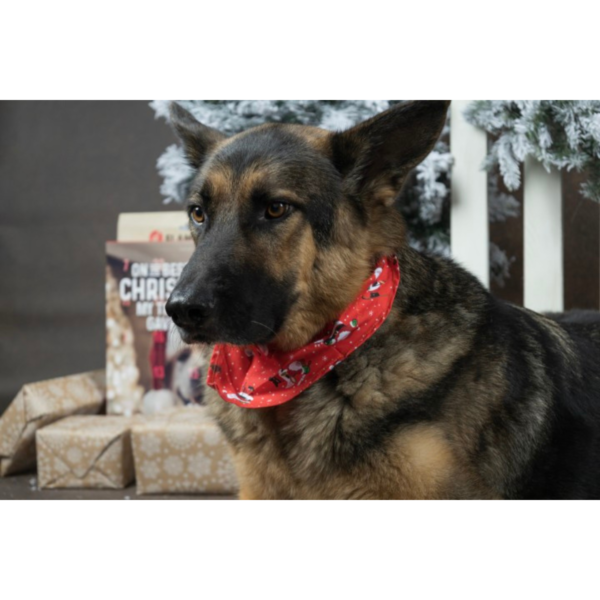 KERST BANDANA ROOD 60x31CM