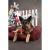 KERST BANDANA ROOD 60x31CM