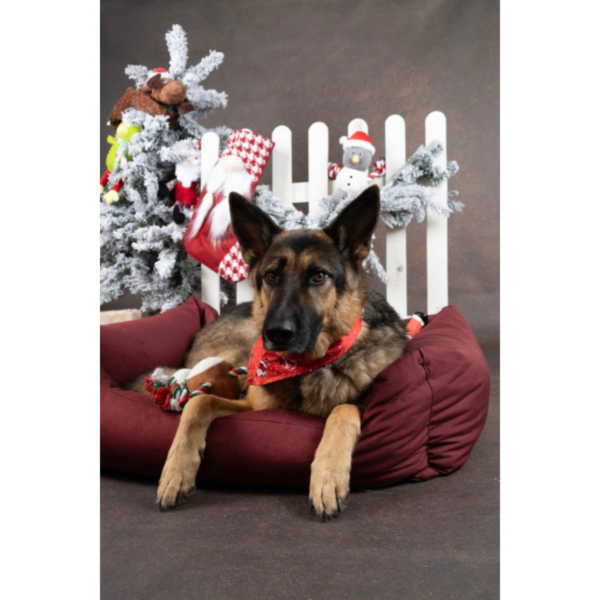 KERST BANDANA ROOD 60x31CM