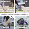 9145RqB99uL._AC_SL1500.webp Puller - Puller Mini Dog Fitness Tool - Purple