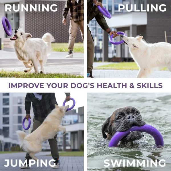 9145RqB99uL._AC_SL1500.webp Puller - Puller Mini Dog Fitness Tool - Purple
