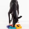 Pawzler - Genius set