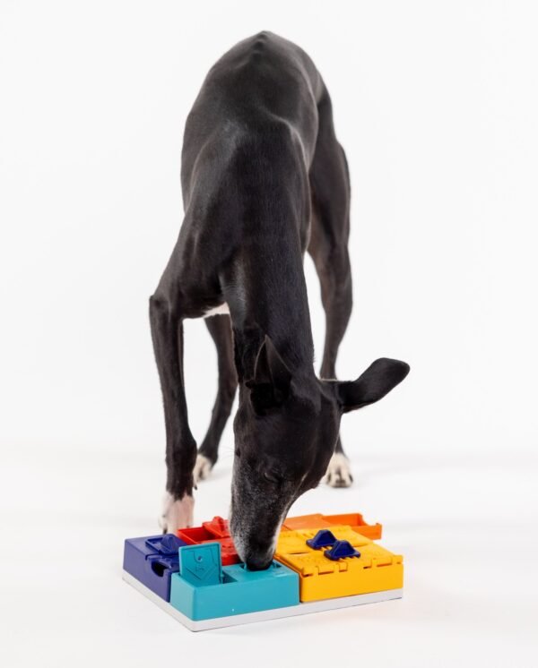 Pawzler - Genius set