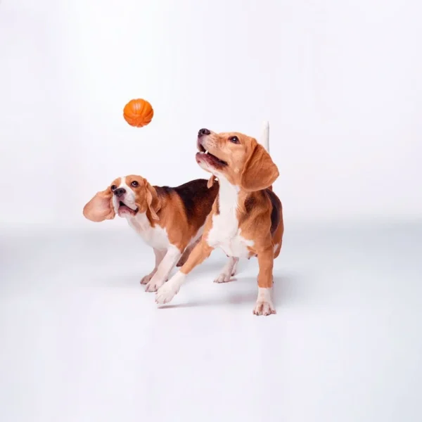 Liker - Liker9 Orange
