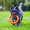 PitchDog - Fetch Ring Orange 20