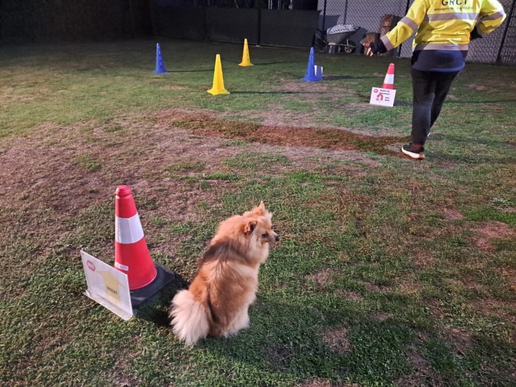 Rally-o