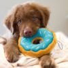 ZippyPaws - Junior Donutz – Blueberry