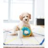 ZippyPaws - Junior Donutz – Blueberry