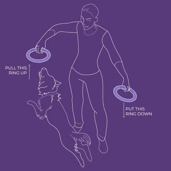 puller_1024x1024_383540d5-7615-401b-a969-de006e2e261f.webp Puller - Puller Mini Dog Fitness Tool - Purple